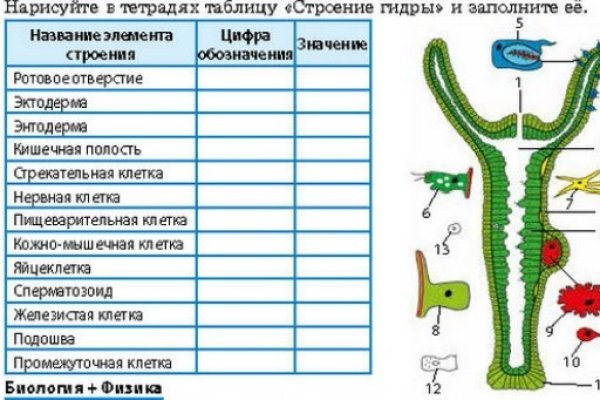 Почему кракен перестал работать