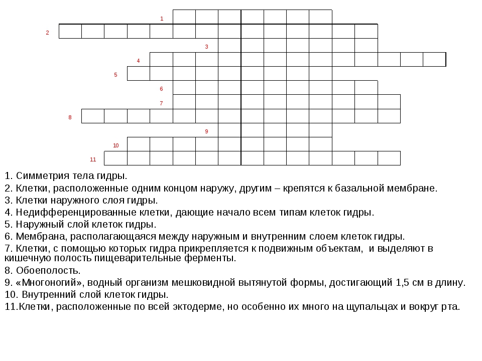 Как закинуть деньги на кракен